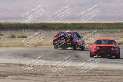 media/Oct-04-2025-OnGrid (Sat) [[44bd565ffa]]/Yellow Group/Grapevine/